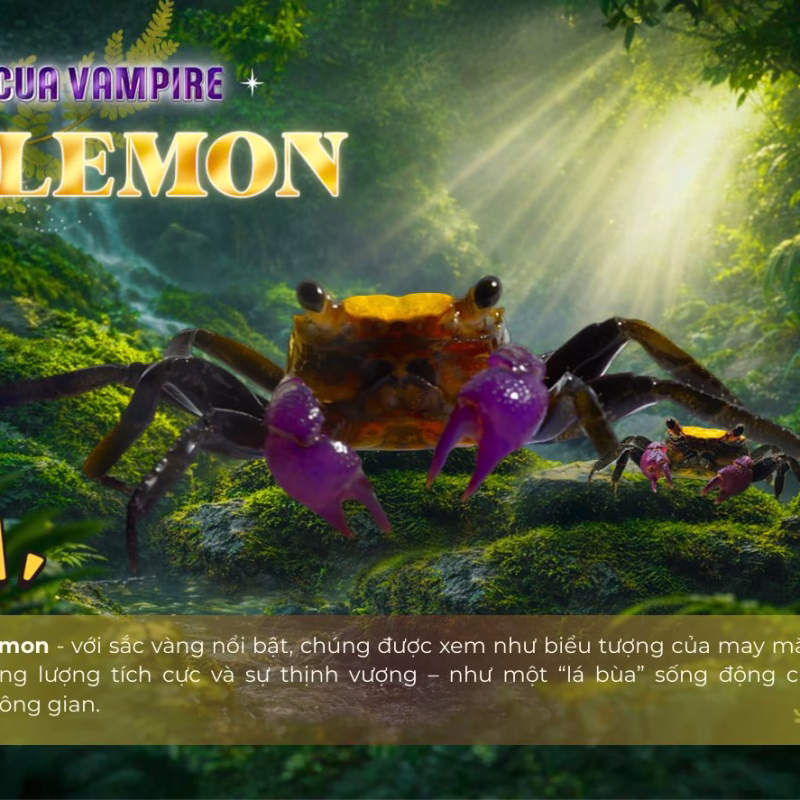 Cua Vampire Lemon - Cua Ma Cà Rồng