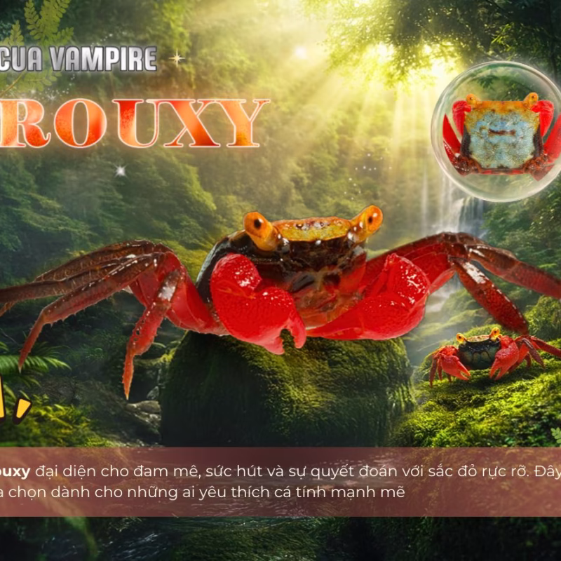 Cua Vampire Rouxy - Cua Ma Cà Rồng