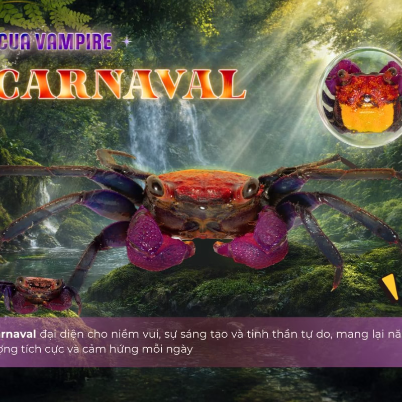 Cua Vampire Carnaval - Cua Ma Cà Rồng