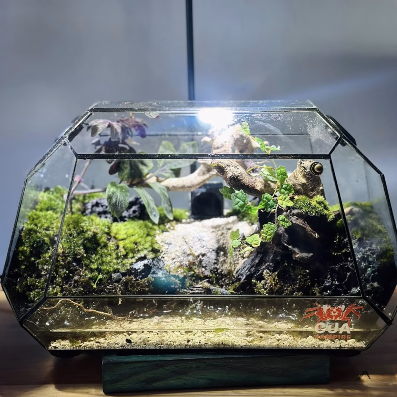 HỒ BÁN CẠN - Thiết kế 40x30x35