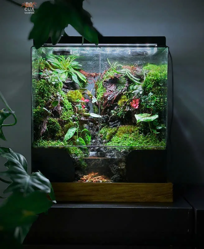 HỒ BÁN CẠN - Về Miền Xanh