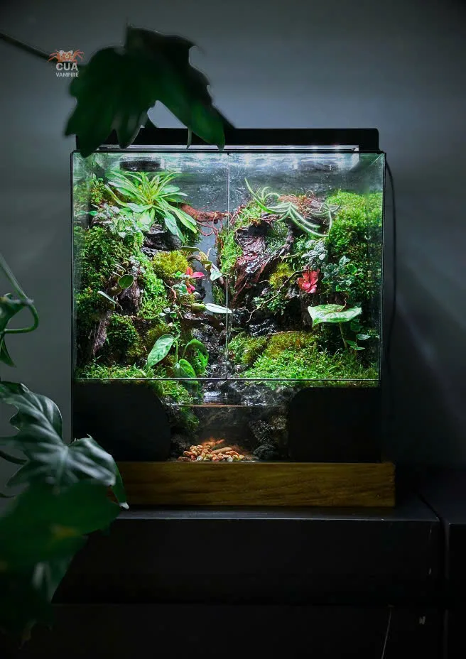 HỒ BÁN CẠN - Về Miền Xanh